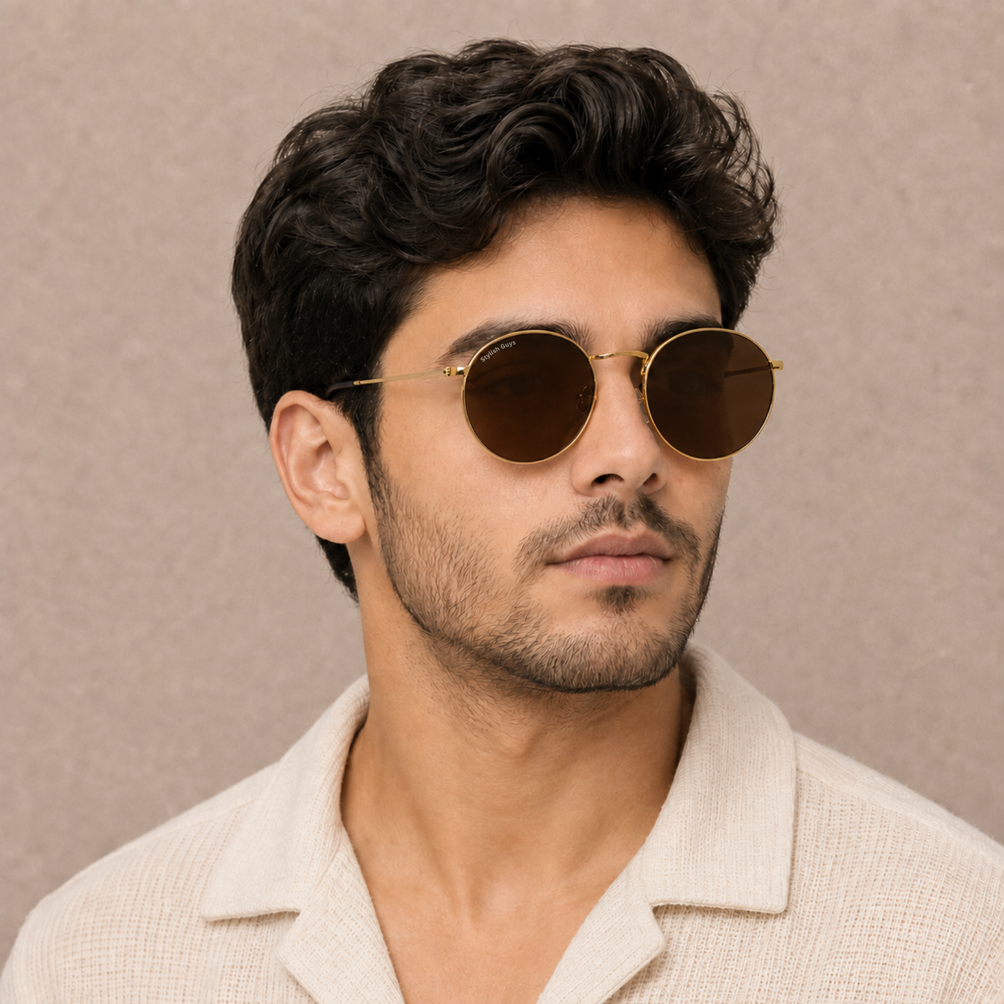 Sunglasses For Men With Brown Glass & Golden Frame 3447 Panto Round Sunglass By Sunglasses Deal