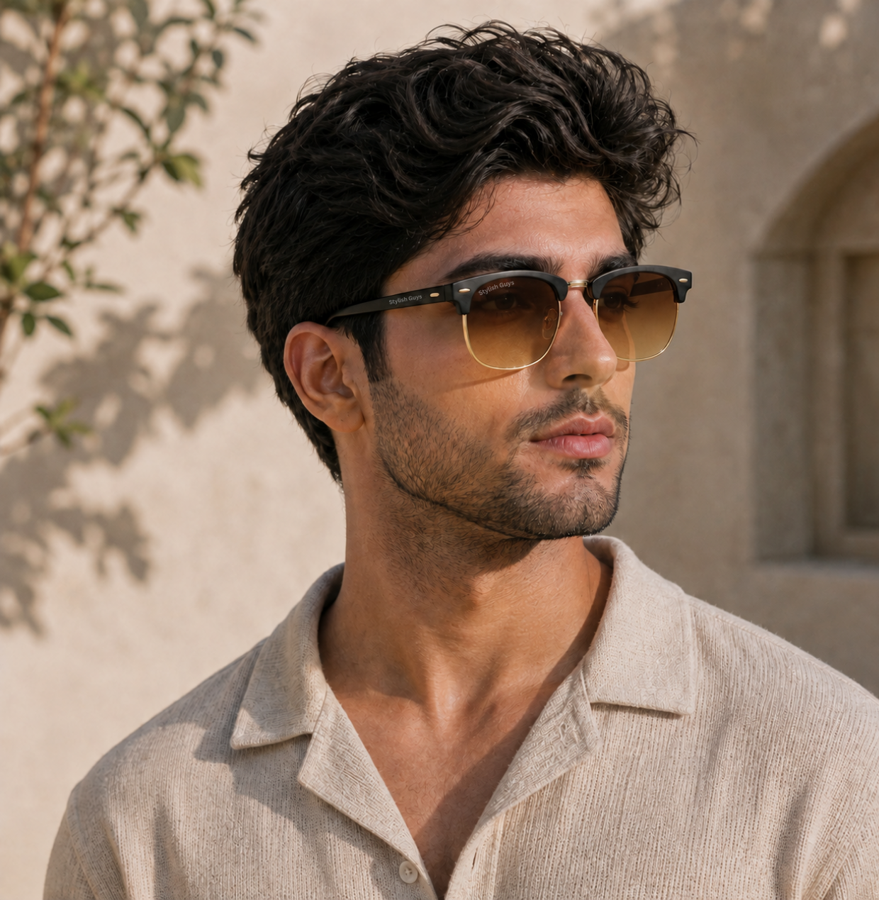 Sunglasses For Men With Brown Shade Glass & Golden Frame 3016 Club Master Sunglass By Sunglasses Deal