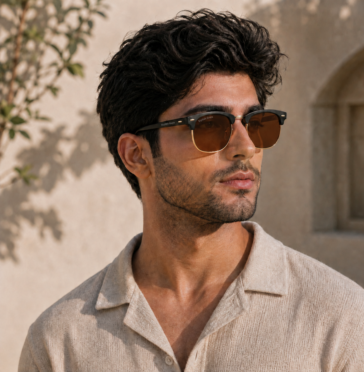 Sunglasses For Men With Brown Glass & Golden Frame 3016 Club Master Sunglass By Sunglasses Deal